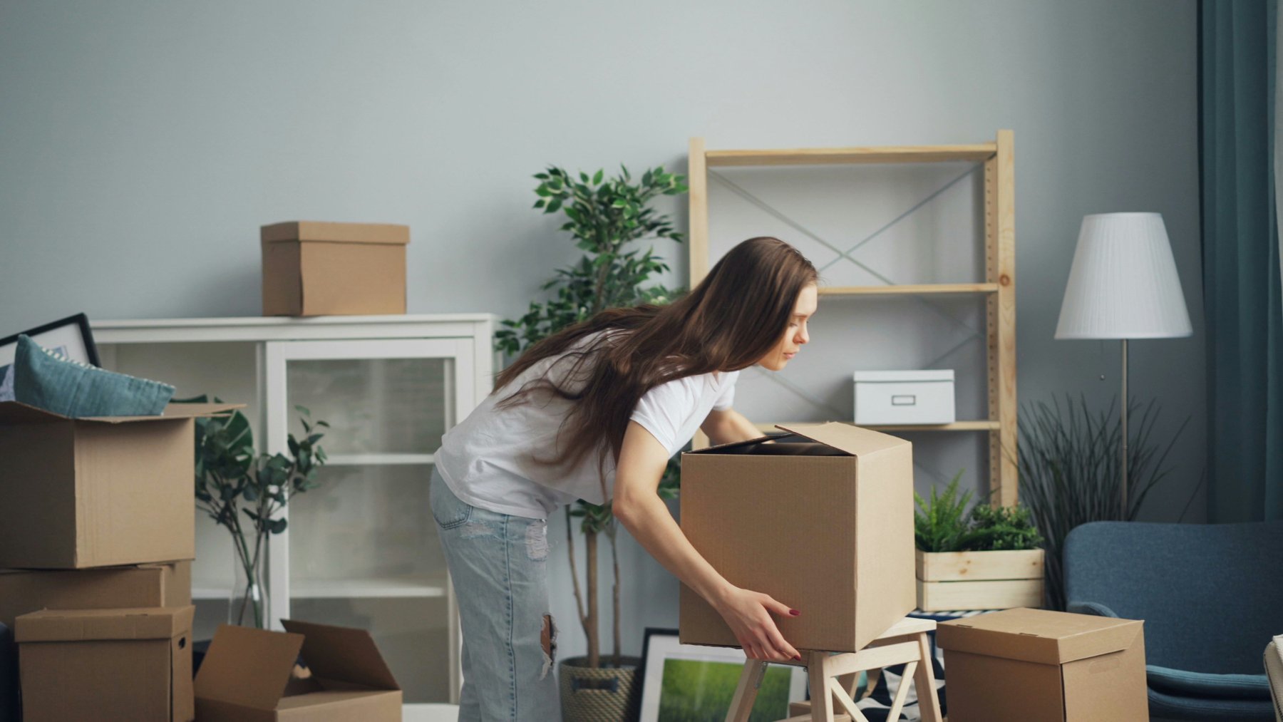 Cartons de déménagement